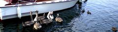 20 Ferien an der Müritz